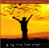 Cover - if my voice had wings