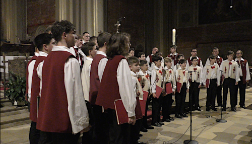 Capella Dudaryk 500