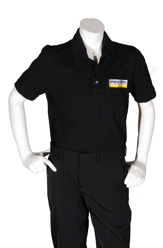 Iuvenis polo 01 DSC 2282 800